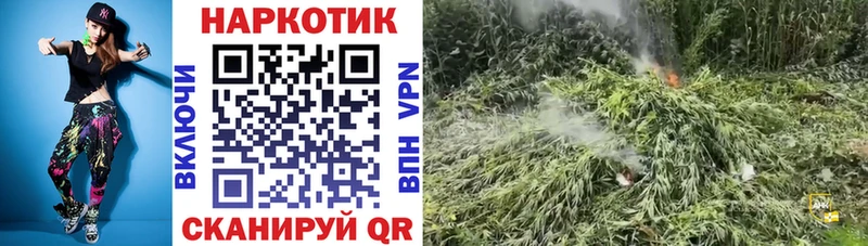 Где можно купить наркотики Сосновка Конопля  АМФ  Alpha PVP  KRAKEN ссылка  Галлюциногенные грибы  Меф  COCAIN  Гашиш 