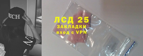 твердый Новозыбков