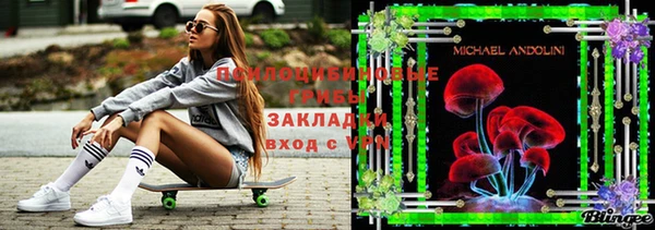 ешки Алексин