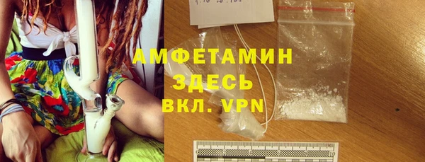 твердый Новозыбков