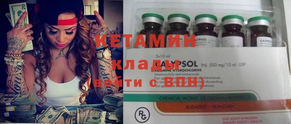 твердый Новозыбков