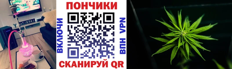 ОМГ ОМГ ссылка  закладка  Сосновка  Каннабис гибрид 